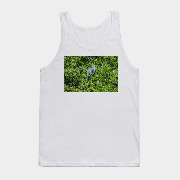 Little Blue Heron Tank Top by KensLensDesigns